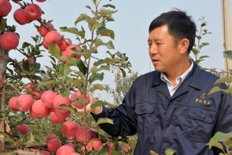 翠虹果品岳建東：市首屆“十佳”新型職業農民 現代果業的探路人(圖1)